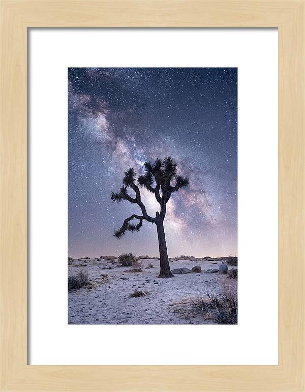 Desert Dreams Under Starry Skies