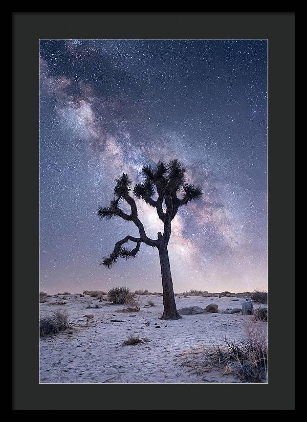 Desert Dreams Under Starry Skies