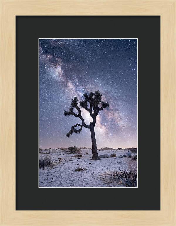 Desert Dreams Under Starry Skies