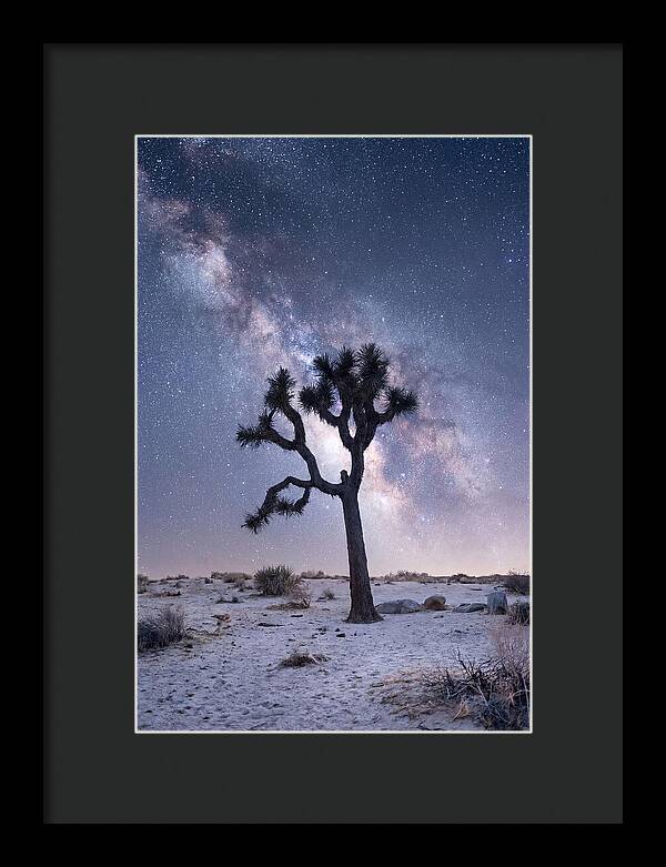 Desert Dreams Under Starry Skies