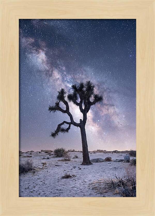 Desert Dreams Under Starry Skies