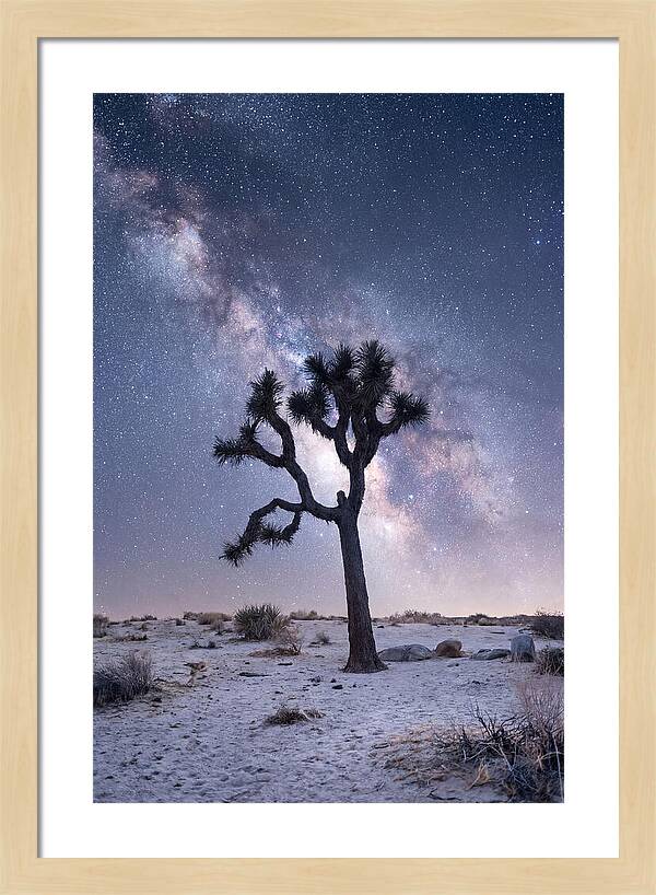 Desert Dreams Under Starry Skies