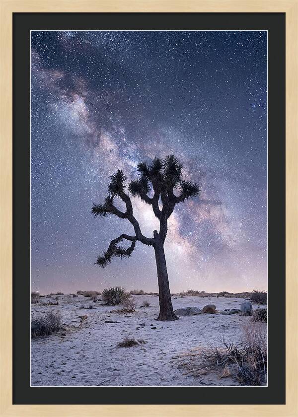 Desert Dreams Under Starry Skies