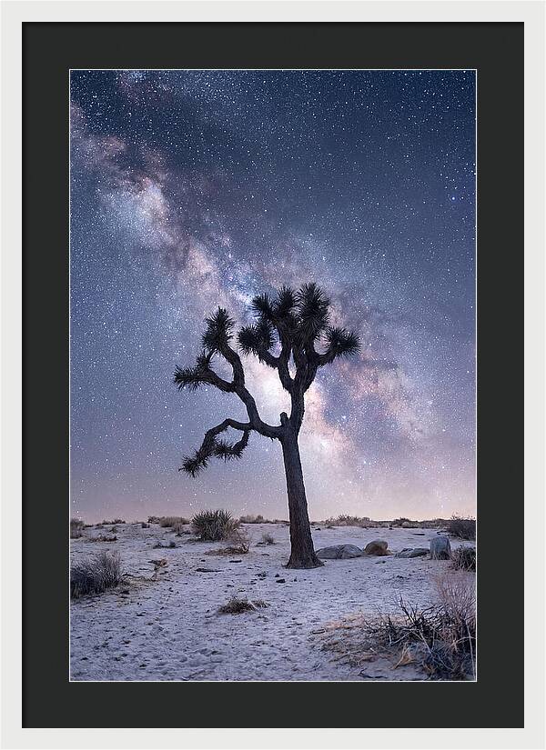 Desert Dreams Under Starry Skies