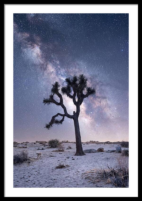 Desert Dreams Under Starry Skies