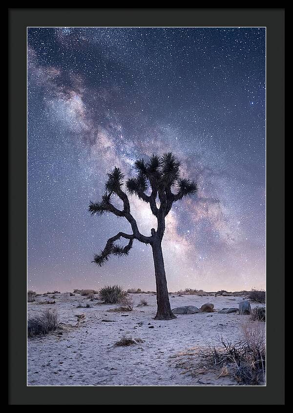 Desert Dreams Under Starry Skies