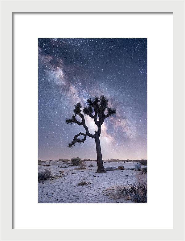 Desert Dreams Under Starry Skies