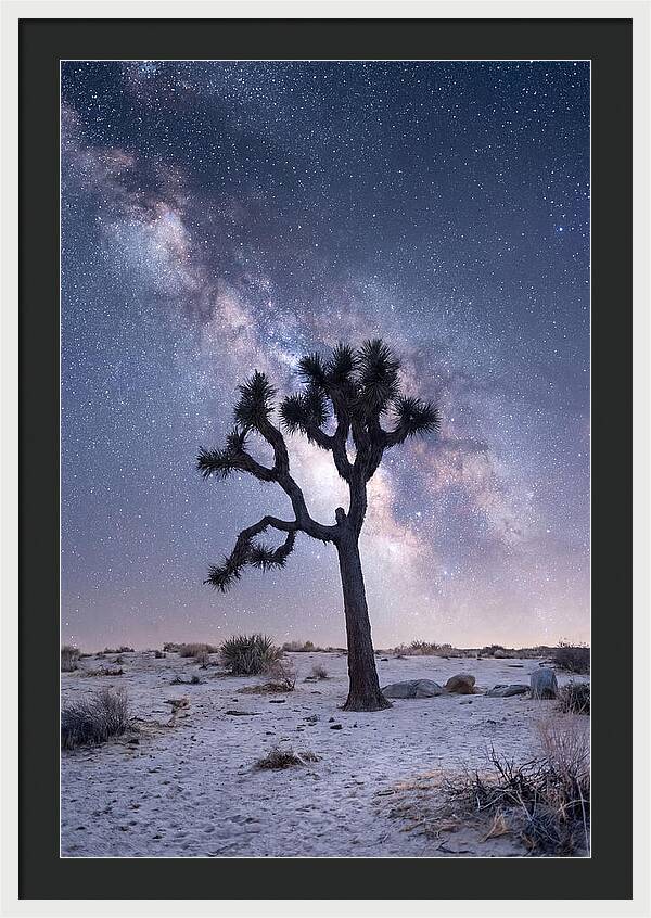 Desert Dreams Under Starry Skies