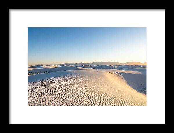 Desert Dreams Unveiled