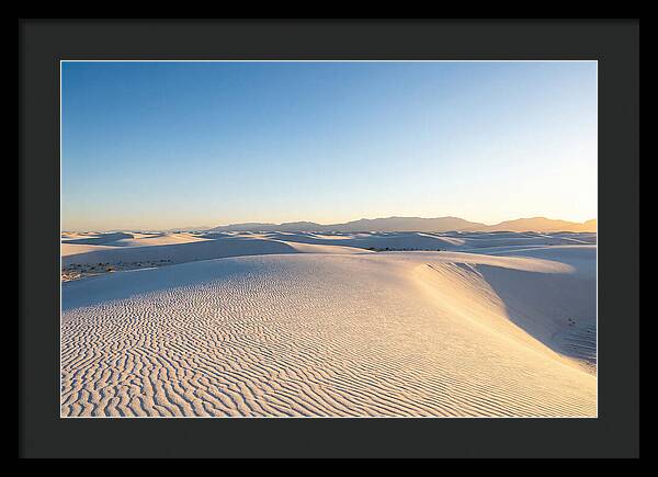 Desert Dreams Unveiled
