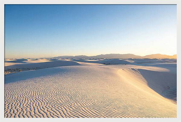 Desert Dreams Unveiled