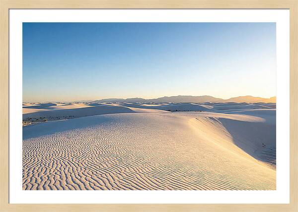 Desert Dreams Unveiled