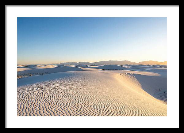 Desert Dreams Unveiled