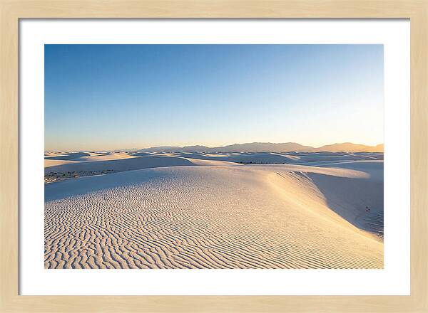 Desert Dreams Unveiled