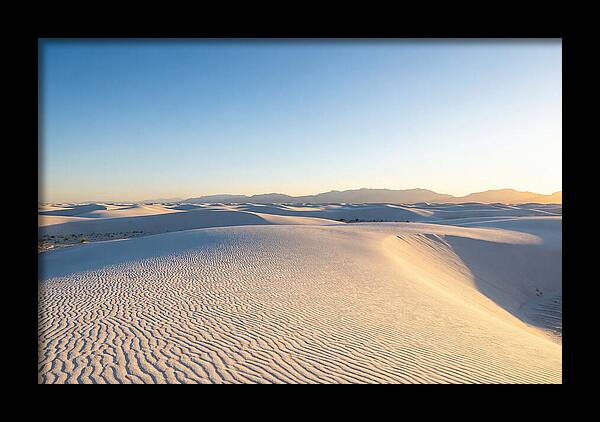 Desert Dreams Unveiled