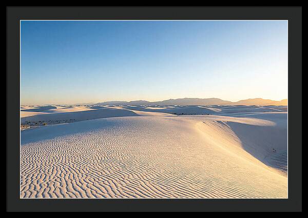Desert Dreams Unveiled