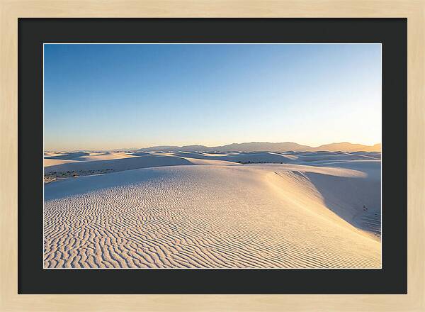 Desert Dreams Unveiled