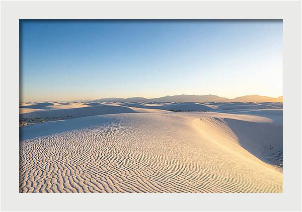 Desert Dreams Unveiled