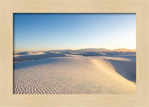 Desert Dreams Unveiled