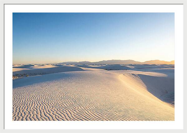 Desert Dreams Unveiled