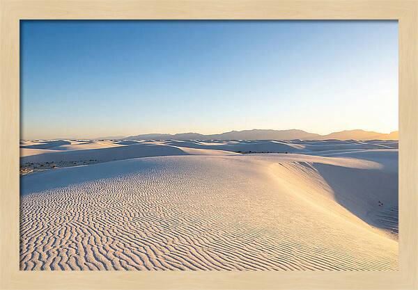 Desert Dreams Unveiled