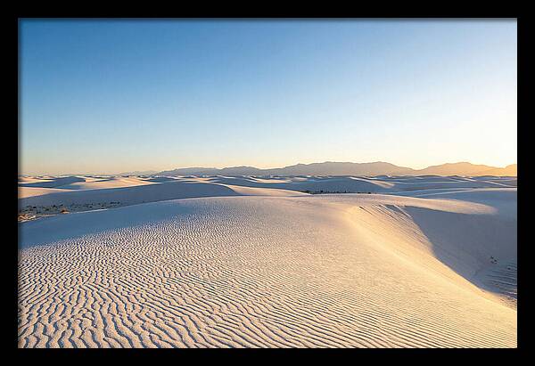 Desert Dreams Unveiled