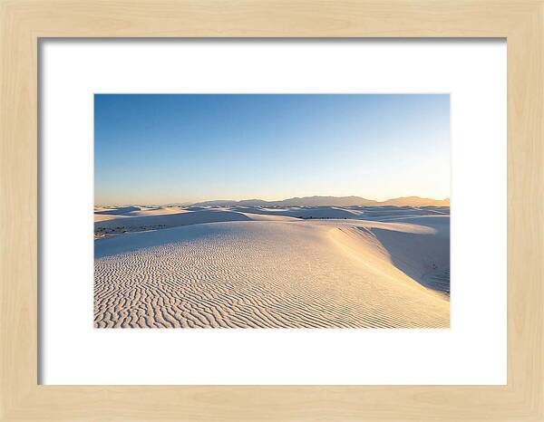 Desert Dreams Unveiled