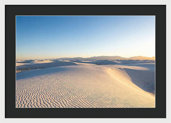 Desert Dreams Unveiled