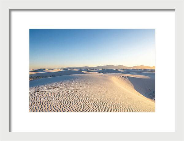 Desert Dreams Unveiled
