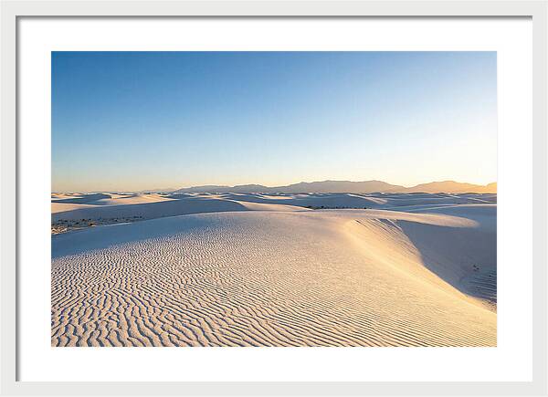 Desert Dreams Unveiled
