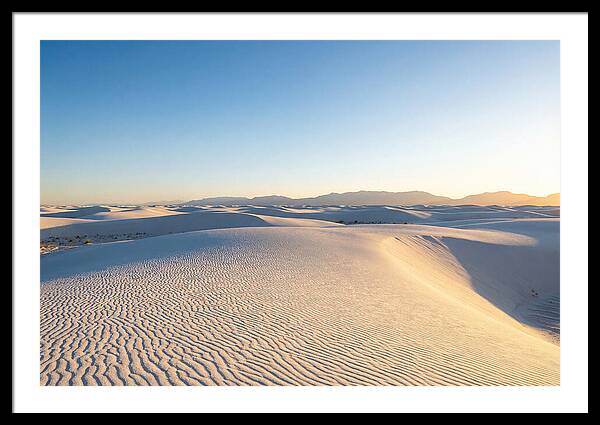 Desert Dreams Unveiled