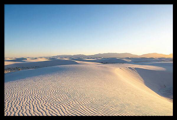 Desert Dreams Unveiled