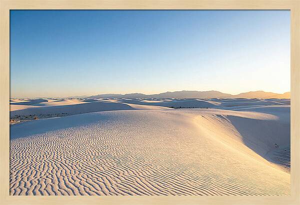 Desert Dreams Unveiled