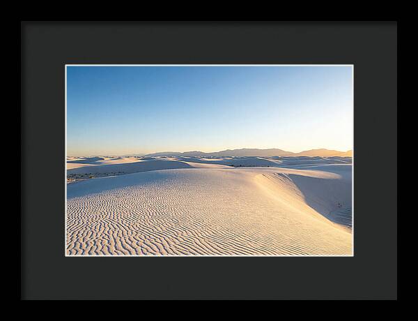 Desert Dreams Unveiled