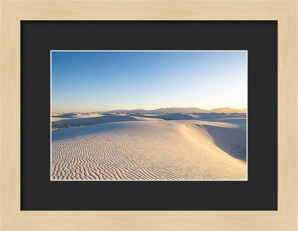 Desert Dreams Unveiled