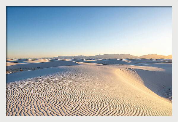 Desert Dreams Unveiled