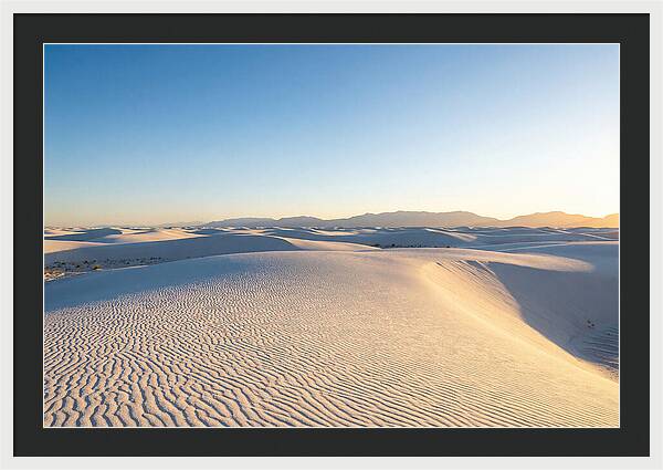 Desert Dreams Unveiled