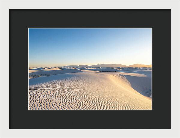 Desert Dreams Unveiled