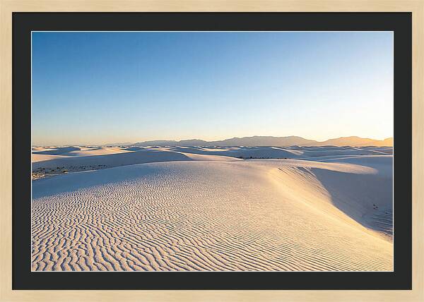 Desert Dreams Unveiled