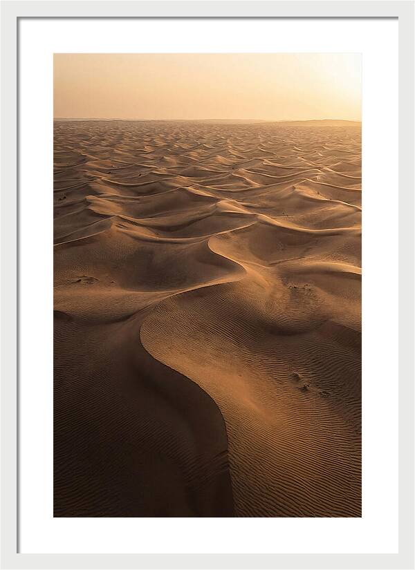 Desert Dunes From Above