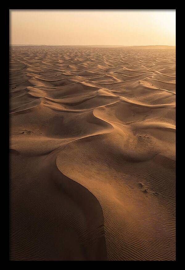 Desert Dunes From Above