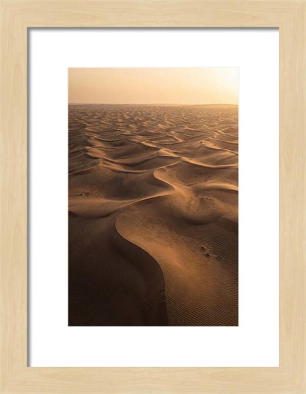 Desert Dunes From Above
