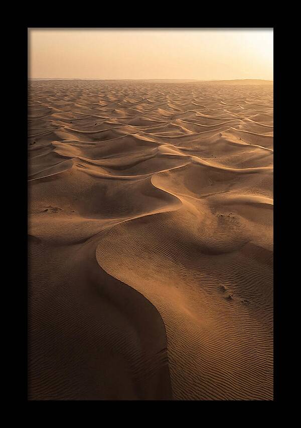 Desert Dunes From Above