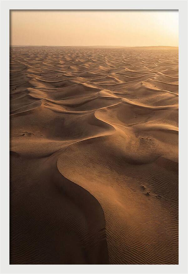 Desert Dunes From Above