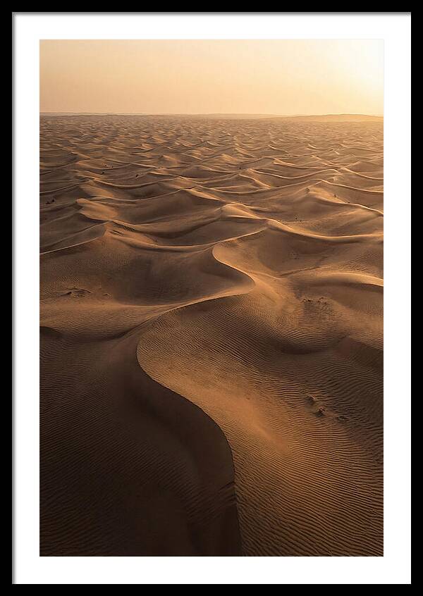 Desert Dunes From Above