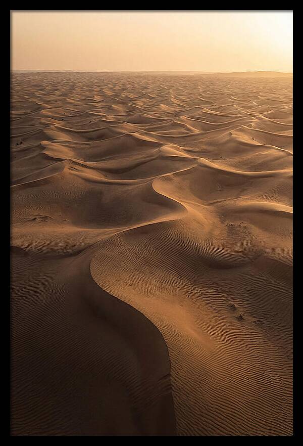 Desert Dunes From Above