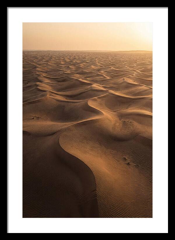 Desert Dunes From Above