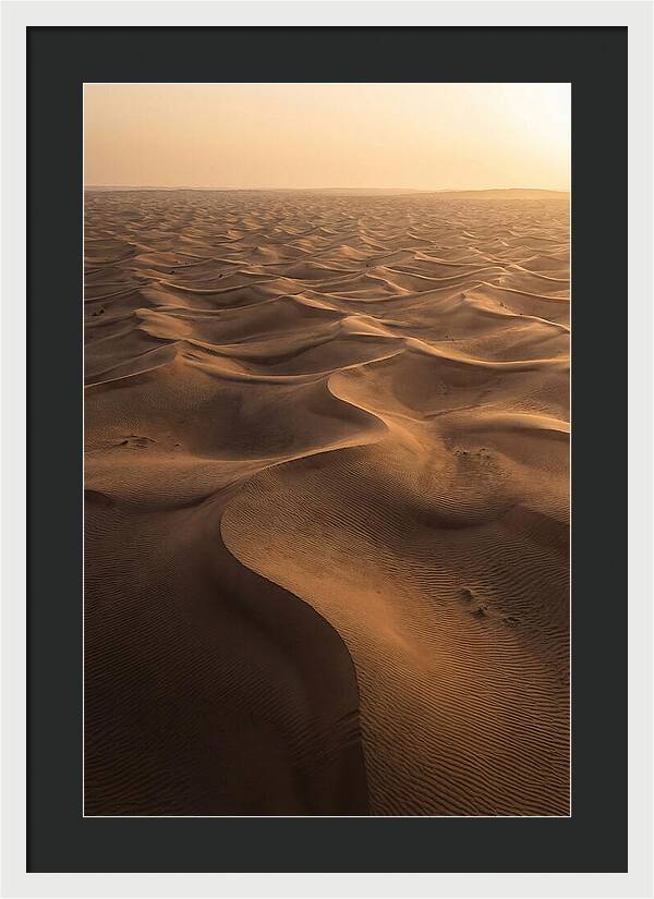 Desert Dunes From Above