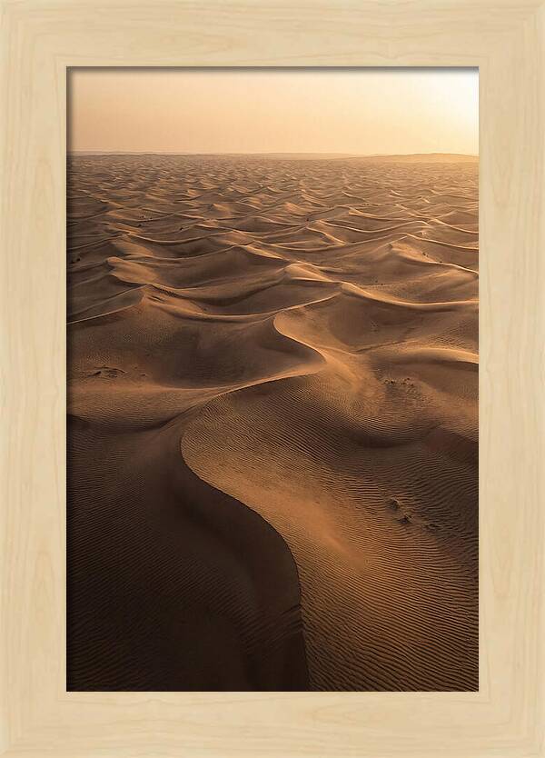 Desert Dunes From Above