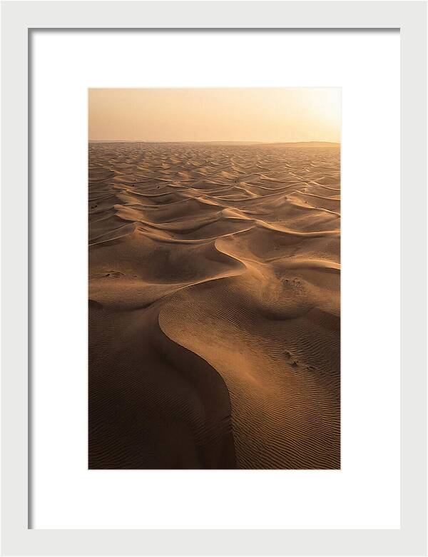 Desert Dunes From Above